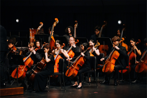 String section of symphony orchestra